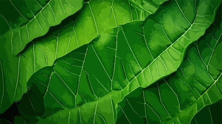 Vector vibrant green papaya leaf texture in high resolution
