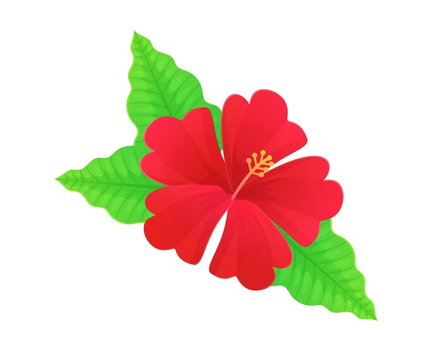 Fiore di ibisco rosso vivace fiore tropicale delle hawaii