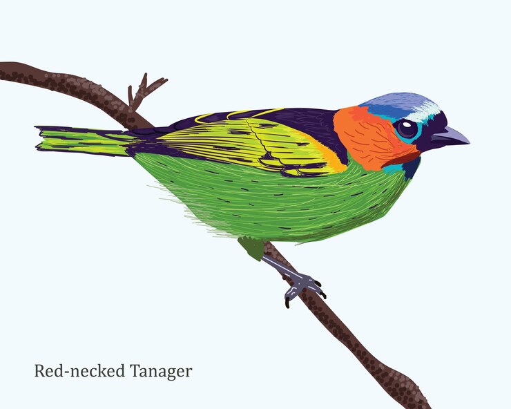 Vector vibrant rednecked tanager perched on a branch