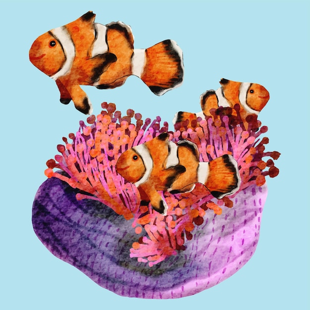 Vector vibrant sea anemone and clown fish watercolor painting artistic marine illustration