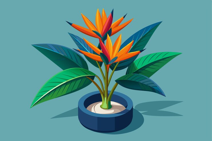 Vector a vibrant strelitzia plant features bold orange and green leaves in a stylish pot showcasing its customizable design strelitzia plant customizable isometric illustration
