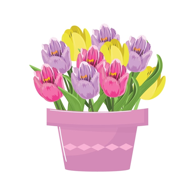 Vettore varietà di tulipani vivaci in vaso di fiori