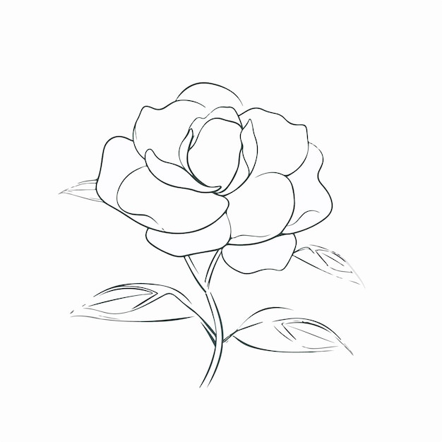 これらの花の自然の美しさを示す鮮やかなベクター椿のイラスト