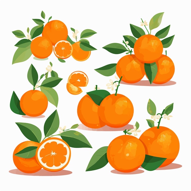 A vibrant vector illustration of a tangerine perfect for adding a burst of color to your designs