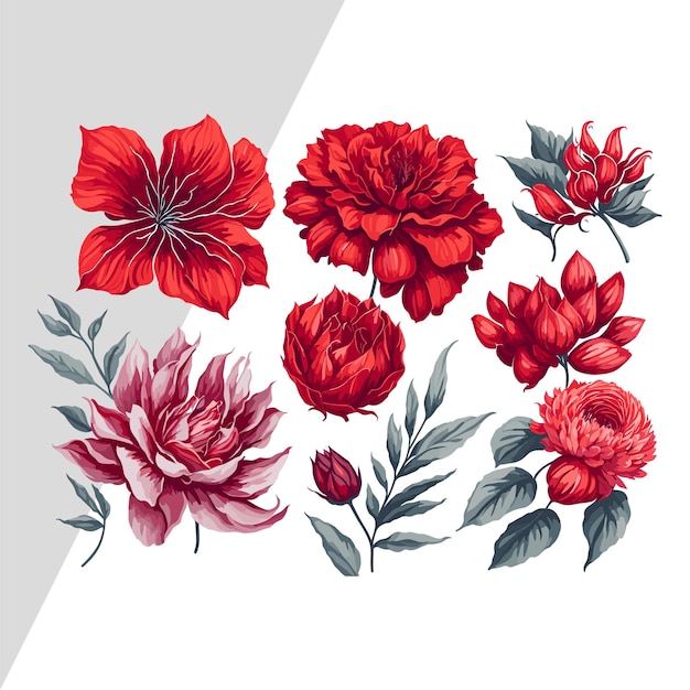 Vibrant Watercolor Red Flowers Set Collection of Vector Illustrations for Stunning TShirt Prints