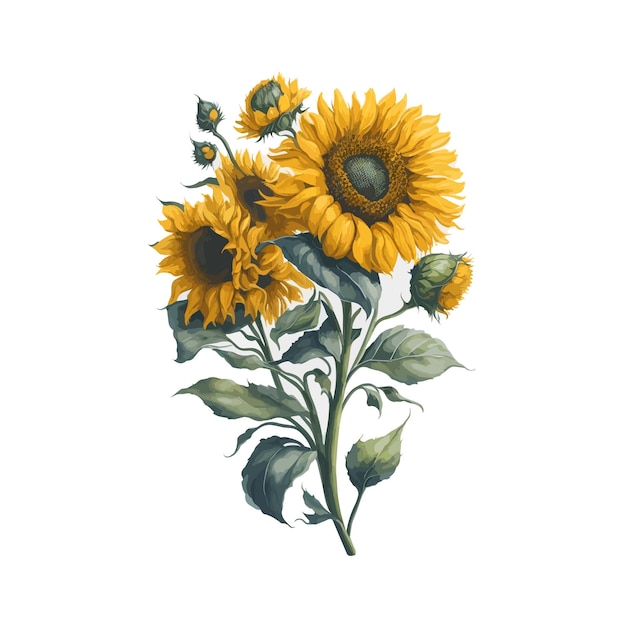 Vibrant Watercolor Sunflower Vector