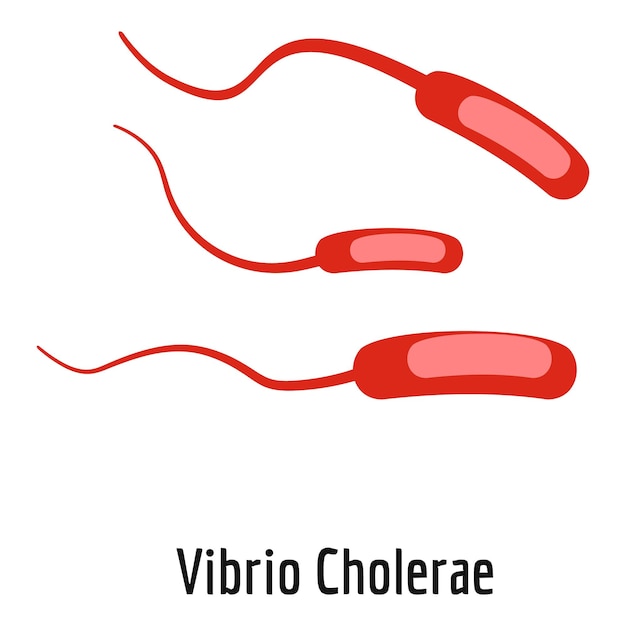 Vettore icona vibrio cholerae illustrazione cartoon dell'icona vettoriale vibrio cholerae per il web