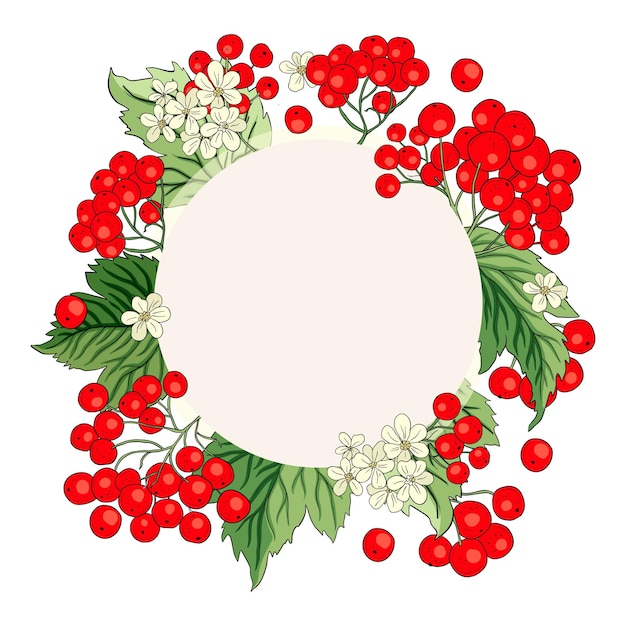 Vector viburnum rowan red berry vector frame rustic floral bouquet illustration