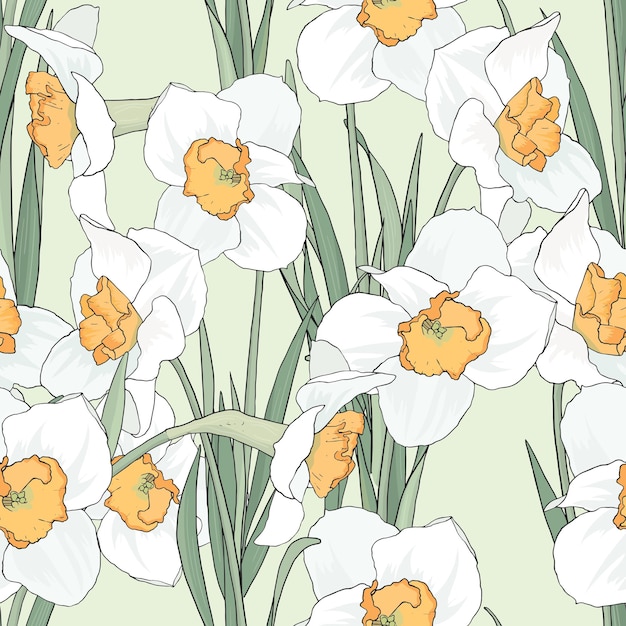 Victorian style seamless pattern of white daffodils on light green background