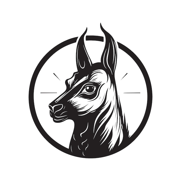 Vector vicuna vintage logo line art concept black and white color hand drawn illustration