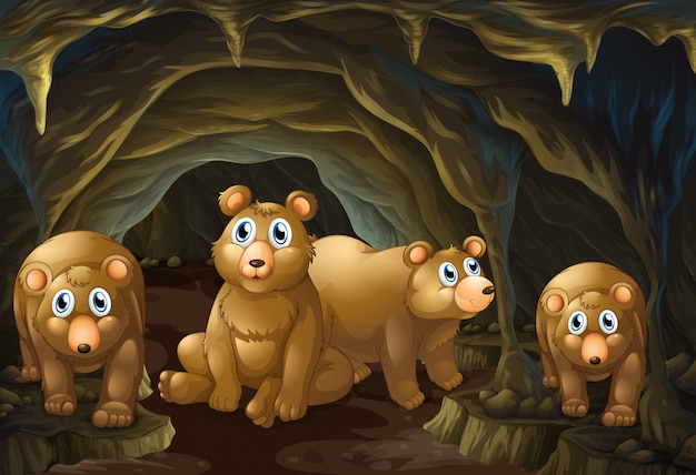 Vector vier beren die in de grot wonen