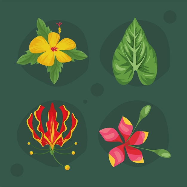 Vier exotische tropische planten
