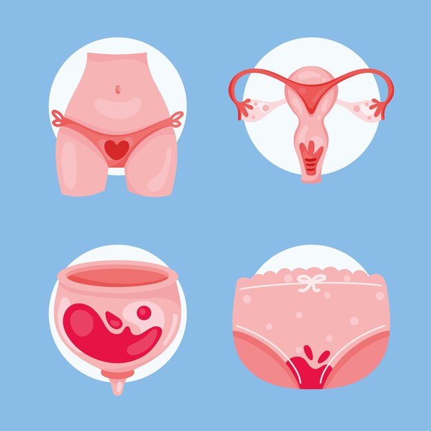 Vier pictogrammen voor menstruatiecyclus