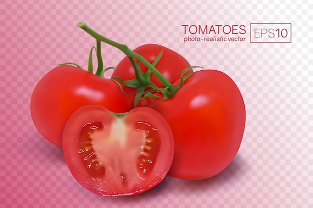Vier rijpe rode tomaten op een tak