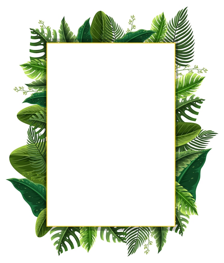 Vector vierkant frame met tropische groene bladeren