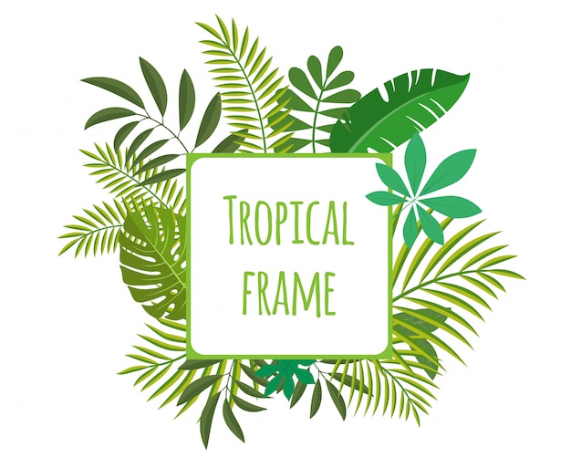 Vierkant tropisch frame, sjabloon met plaats voor tekst. illustratie, geïsoleerd op een witte achtergrond.