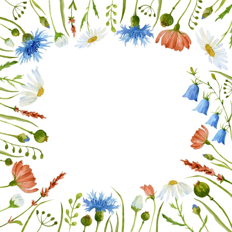 Vector vierkante bloem frame met wilde veldplanten en groene bladeren aquarel handgeschilderde vector bloemen achtergrond voor wenskaarten of uitnodigingskaarten botanische grens