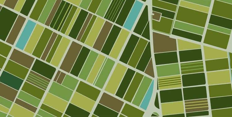 Vector view from above green field in the countryside on a spring day planted in rice fields