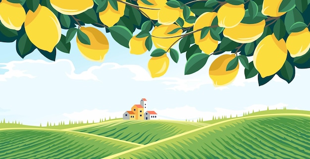 Vector view of a lemon plantation with branches forming the frame on a rural background