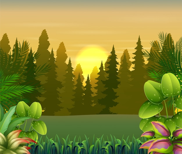 View of plants and trees at sunset illustration