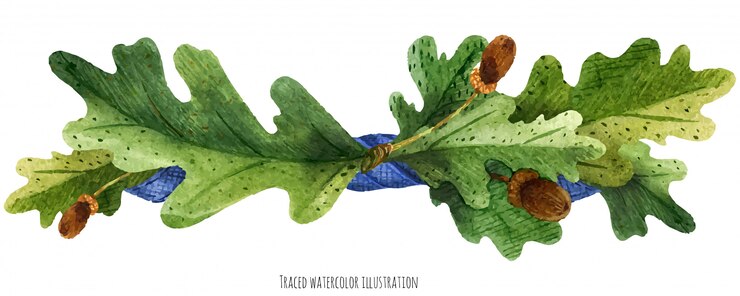 Vector vignette from oak leaves with blue silk ribbon