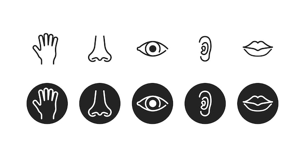 Vijf menselijke zintuigen icon set Touch ruiken zien horen smaak vector symbool Hand neus oog oor en lippen zintuiglijke orgel collectie