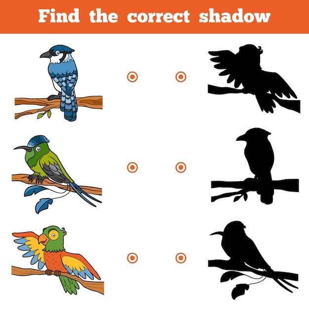 Vind de juiste schaduw, onderwijsspel voor kinderen. vector set vogels