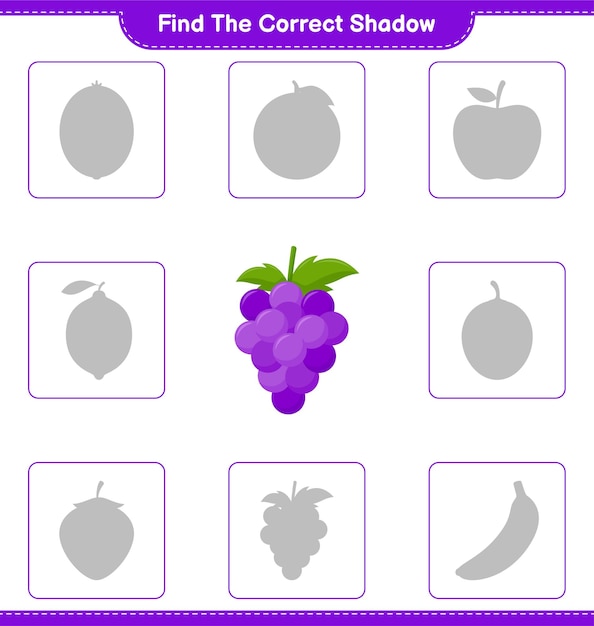 Vind de juiste schaduw. Zoek en match de juiste schaduw van Grape. Educatief kinderspel, afdrukbaar werkblad
