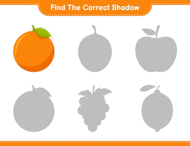 Vind de juiste schaduw. Zoek en match de juiste schaduw van Oranje. Educatief kinderspel, afdrukbaar werkblad