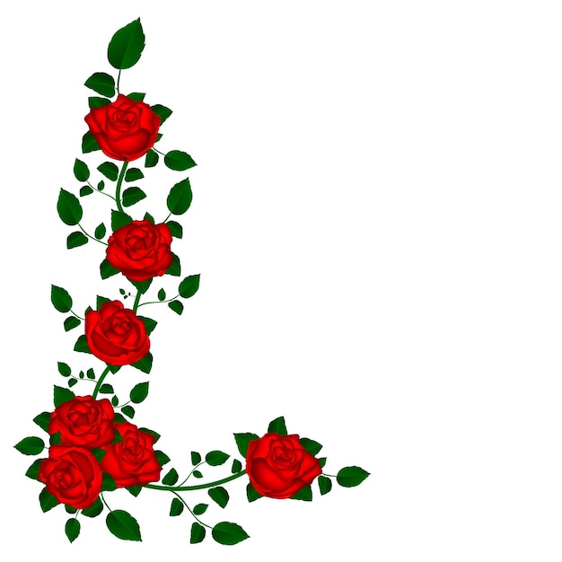 Vettore vite di rose rosse