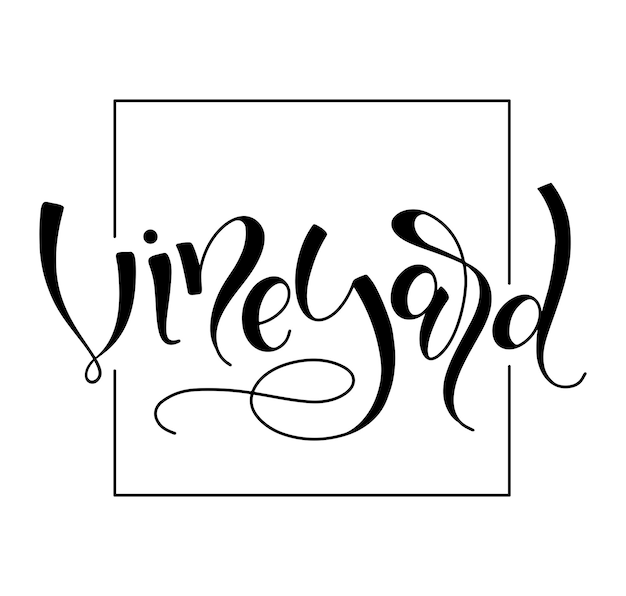 Vineyard black calligraphy isolated on white background