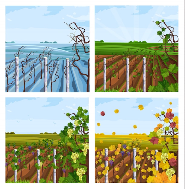 Vineyard different seasons collection