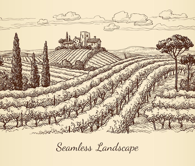 Paesaggio senza cuciture del vigneto. illustrazione di inchiostro disegnata a mano.