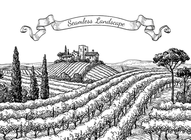 Vector vineyard seamless landscape