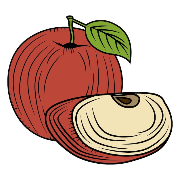 Vintage apple fruit with engraving style drawing vector