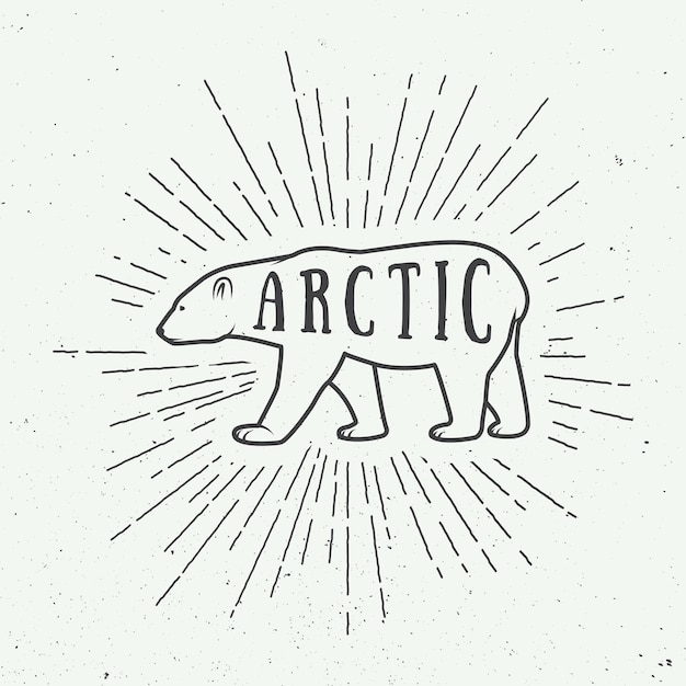 Vettore orso bianco artico vintage con slogan