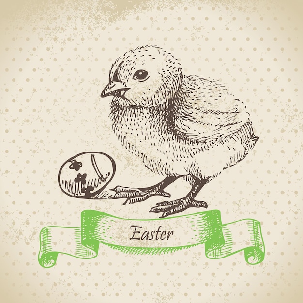 Vintage background with easter chick. hand drawn illustration