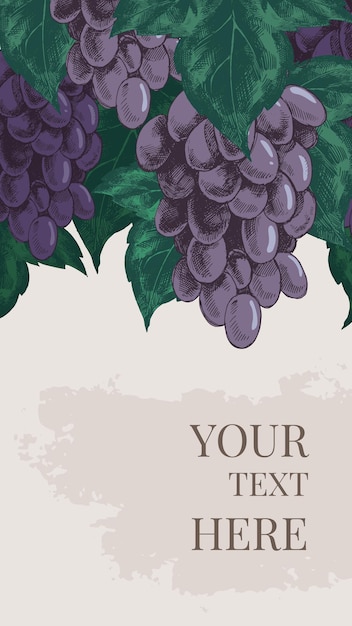 Vintage banner layout with lots of hand drawn grapes bunches  and many green leaves.