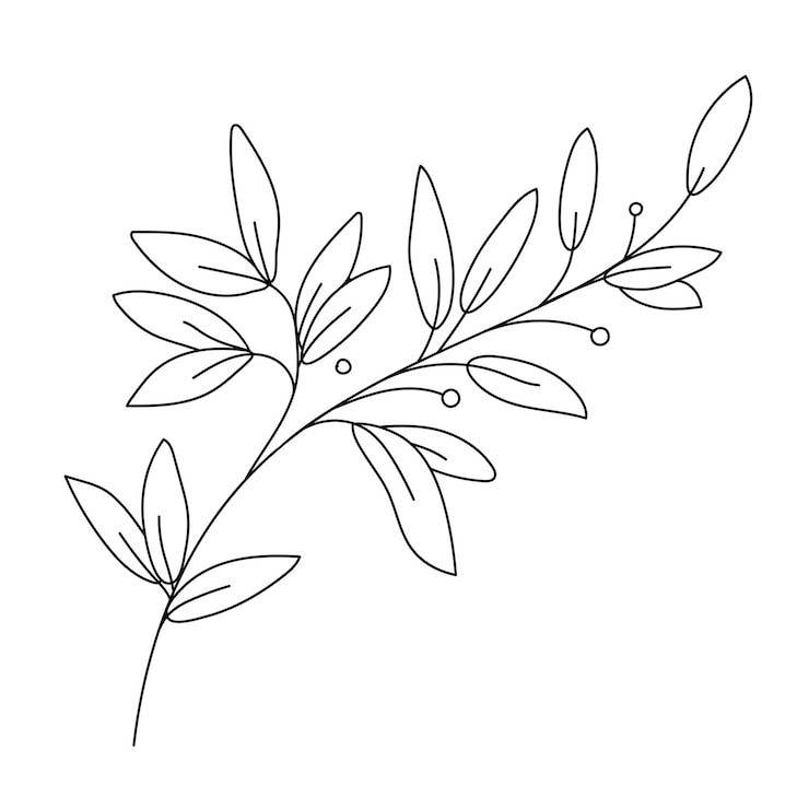 Vector vintage barokke ornamenten
