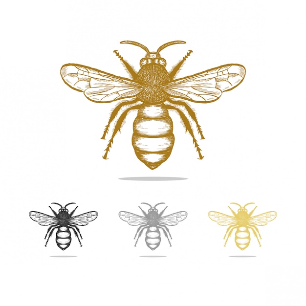 Vintage bee logo design