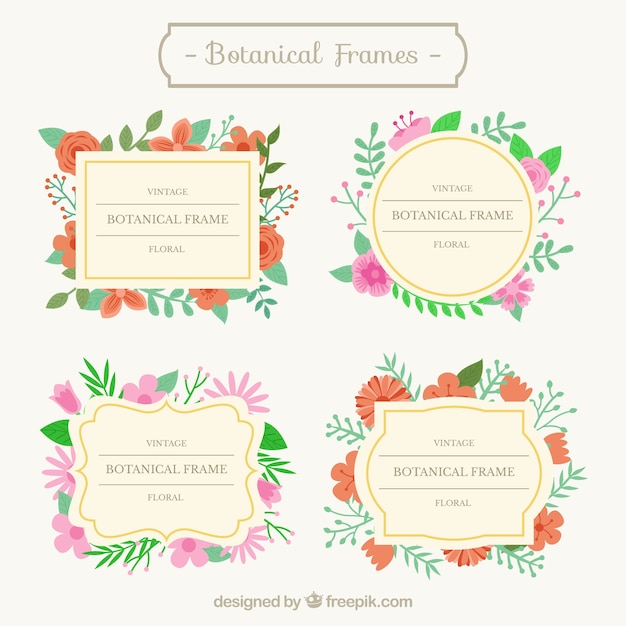 Vintage botanical frames set