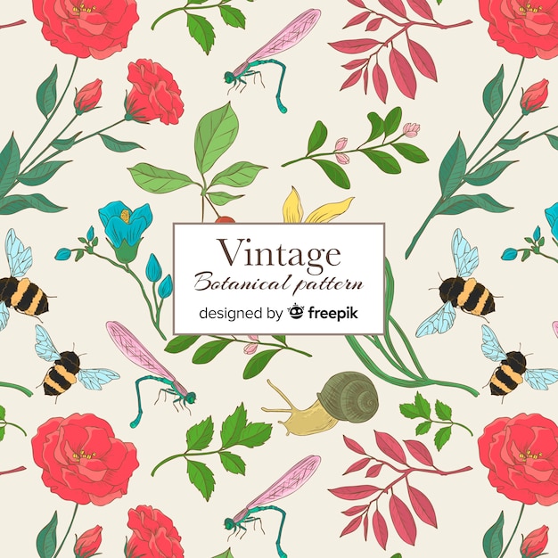 Vintage botanical pattern