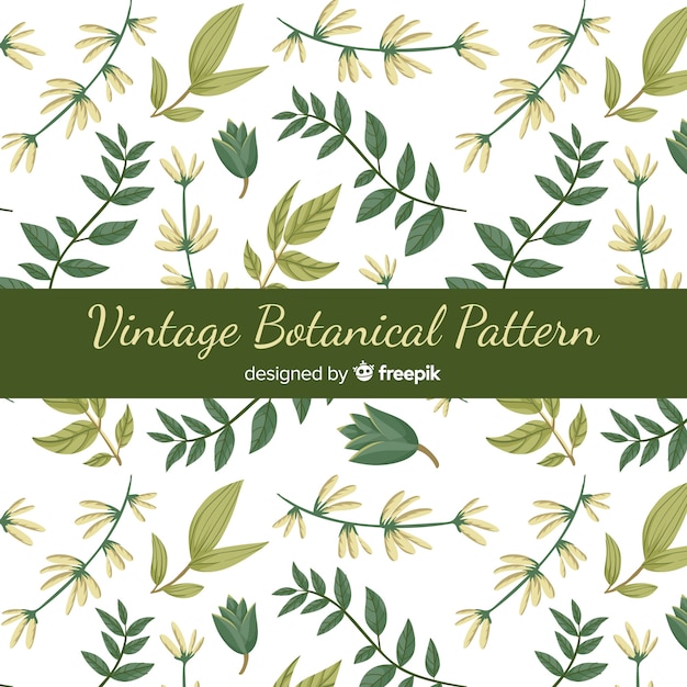 Vintage botanical pattern