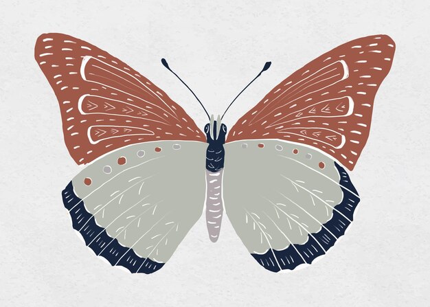 Vector vintage butterfly insect vector colorful stencil