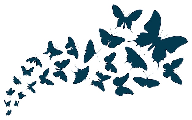 Vector vintage butterfly or monochrome butterflies flying flat vector illustration