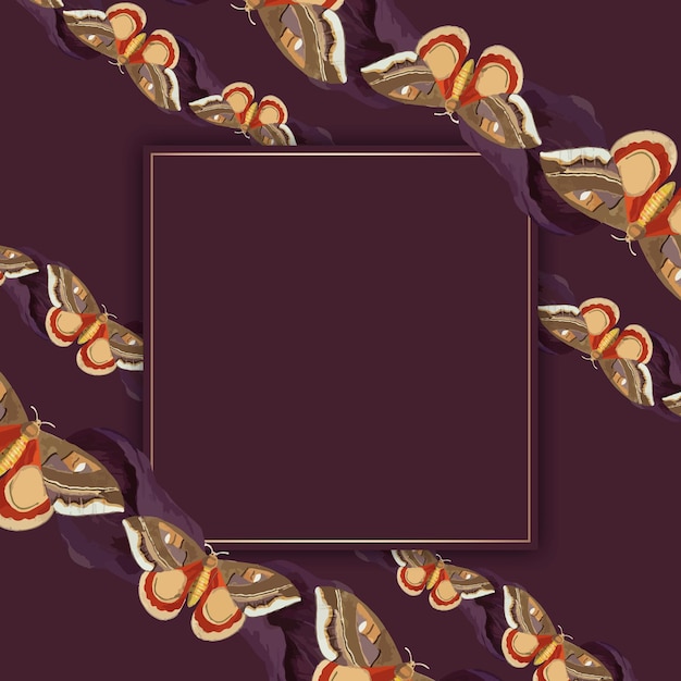 Vector vintage butterfly pattern frame vector, remix from the naturalist's miscellany by george shaw