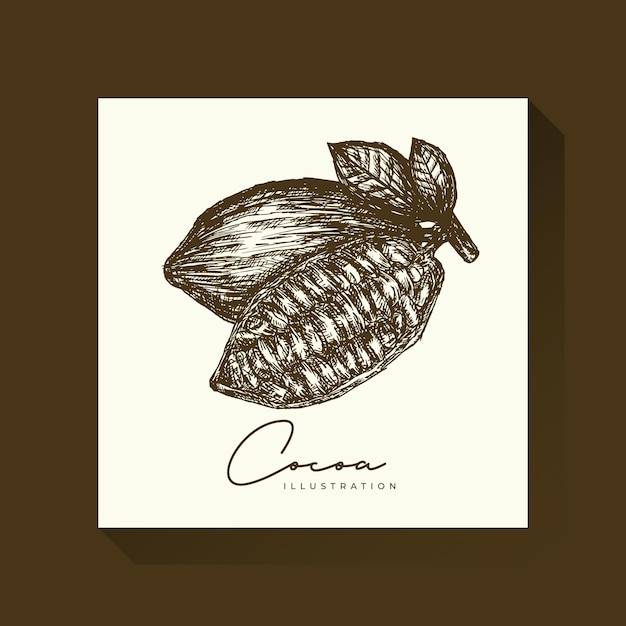 Vector vintage cacao illustratie