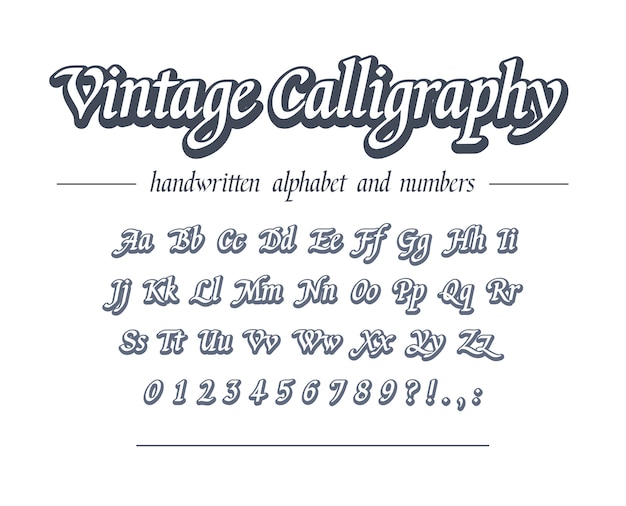 Vintage calligraphy. hand drawn outline alphabet. universal handwritten font for business logo design, package, banner heading. retro style classic script.