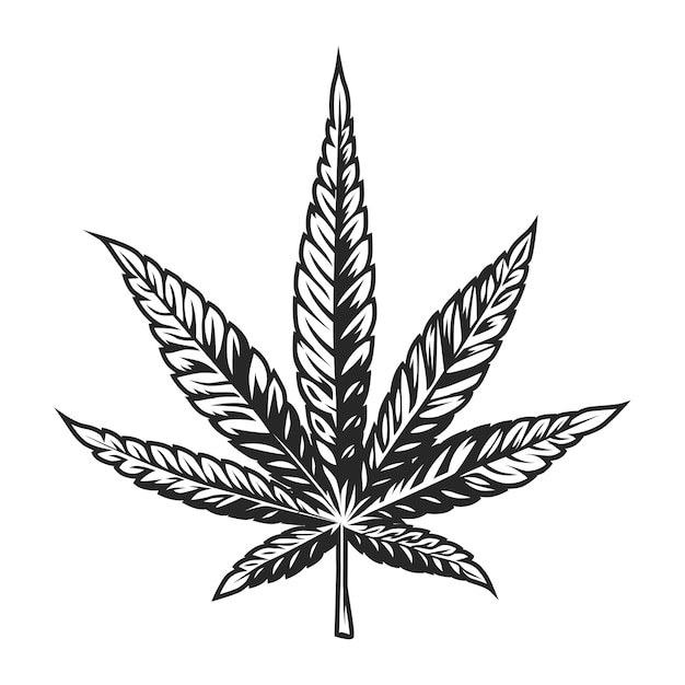 Vector vintage cannabis leaf