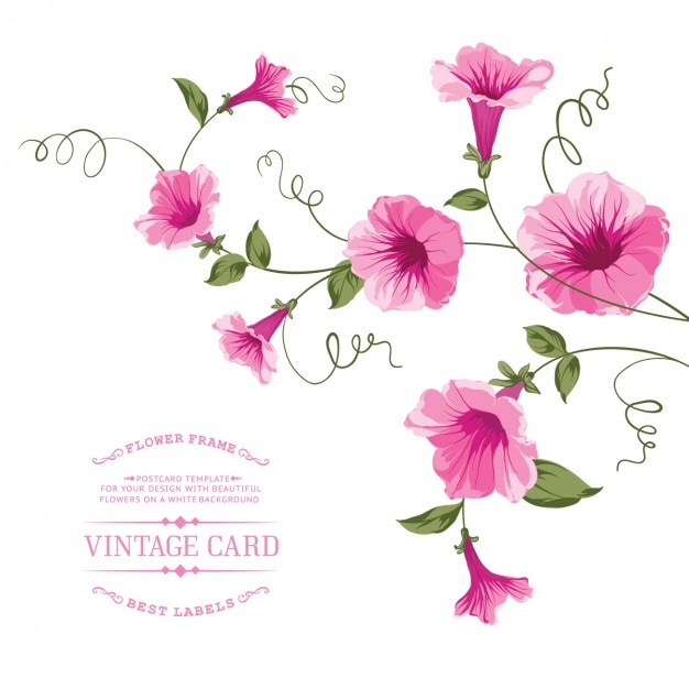 Vector vintage card flowers design